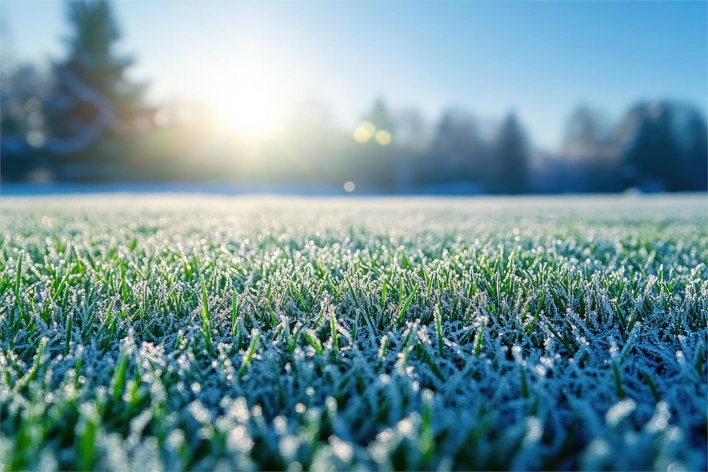 ¿Cómo proteger el césped del frío del invierno?