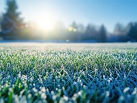 ¿Cómo proteger el césped del frío del invierno?