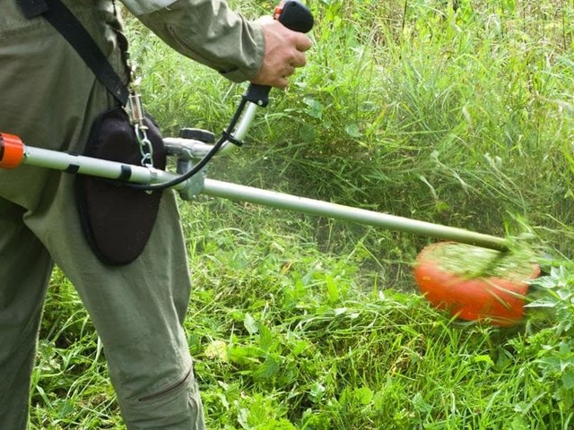 ¿Por qué contratar los trabajos de desbroce a Otto Jardinería y Desbroces?